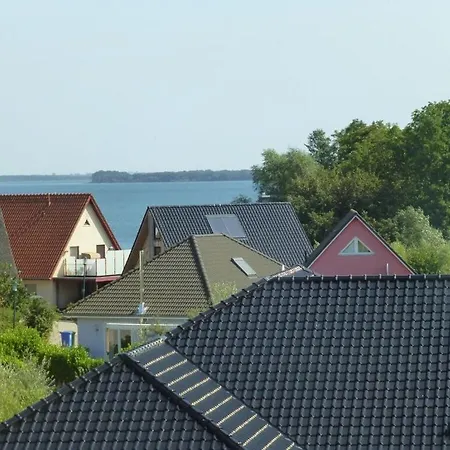 Strandlaeufer Og *